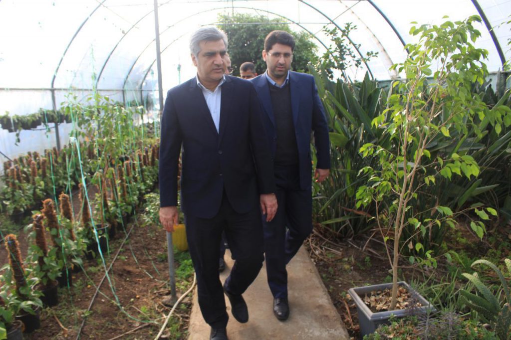 کشت بدون خاک
