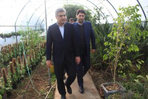 کشت بدون خاک