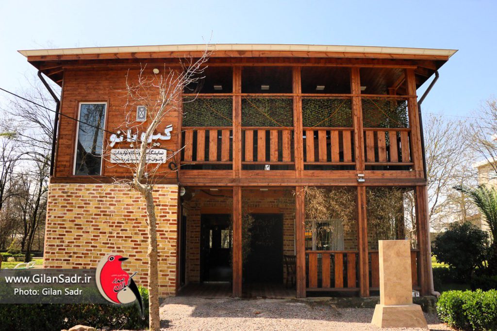گزارش تصویری