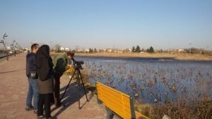 تالاب_سرشماری_پرنده