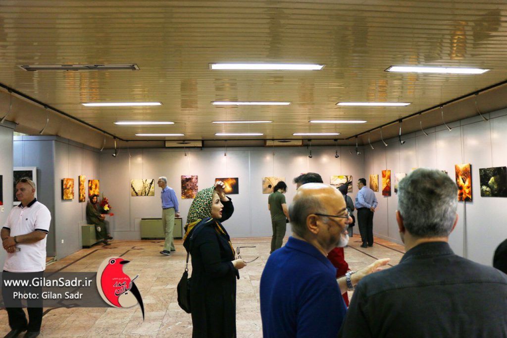 نمایشگاه نقاشی_موسی علیجانی