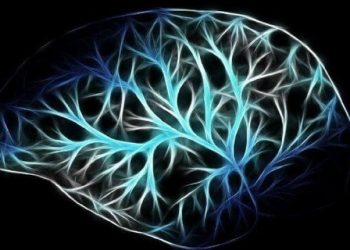 مغز هر چه را بگویید، باور می‌کند