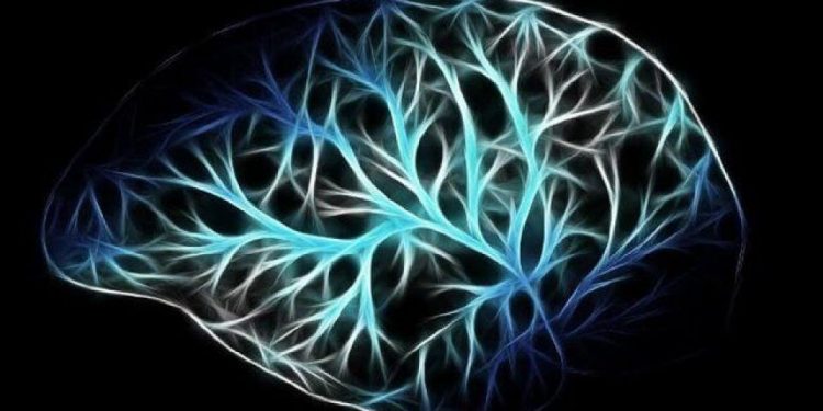 مغز هر چه را بگویید، باور میکند