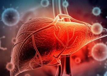 غلبه بر کبد چرب با نوعی داروی گیاهی