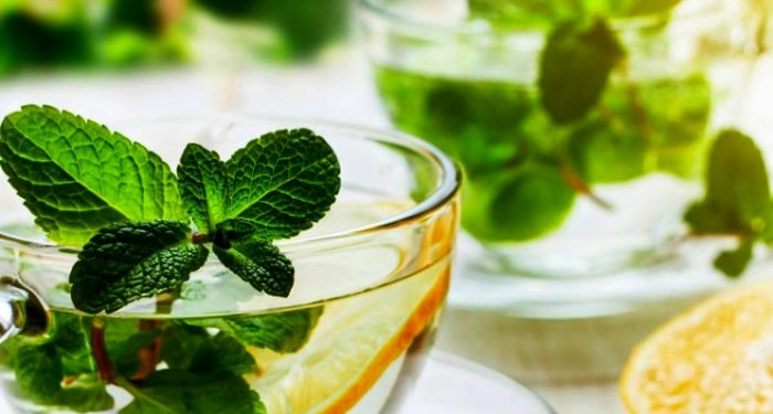 مبتلایان به رفلاکس عرق نعناع و نعناع نخورند
