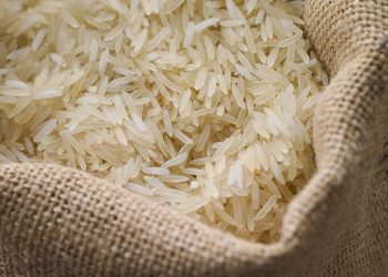 برنج ۹۵ درصد گران شد/ جدیدترین گزارش درباره قیمت برنج ایرانی و خارجی