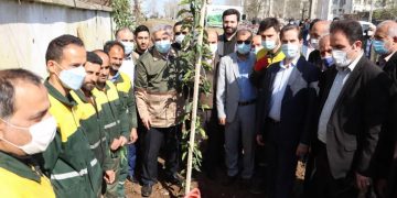 مراسم روز درختکاری در محله نخودچر