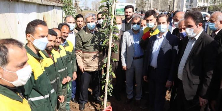 مراسم روز درختکاری در محله نخودچر