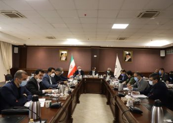 بررسی و تایید صورتهای مالی و عملکرد سازمان منطقه آزاد انزلی