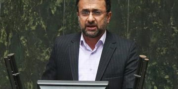 شاهد تخریب‌های نمایشی در شمال کشور هستیم | بی‌توجهی جهاد کشاورزی نسبت به کیوی