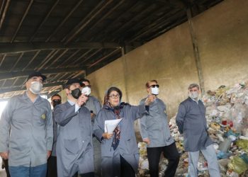 بازدید از کارخانه کودآلی کرمانشاه/ رایزنی برای جذب سرمایه‌ گذار