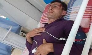 ضرب و شتم ۲ جنگلبان توسط قاچاقچیان چوب