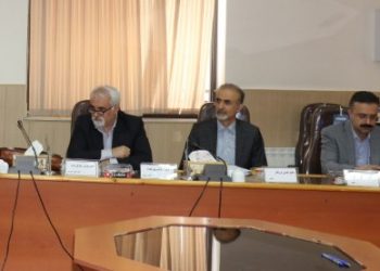 طرح نظام ارجاع نمونه بارز و موفقی از خدمات ویژه نظام سلامت به خانواده در کشور است