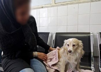 آمار جالب از نگهداری حیوانات خانگی در ایران/تصور اینکه ما فکر کنیم داشتن حیوان خانگی فرهنگ غربی است کاملاً اشتباه است