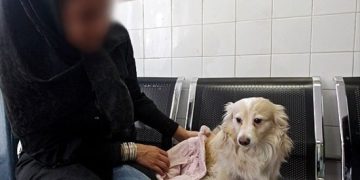 آمار جالب از نگهداری حیوانات خانگی در ایران/تصور این‌که ما فکر کنیم داشتن حیوان خانگی فرهنگ غربی است کاملاً اشتباه است