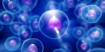 خانم ها بخوانند: نقش مهم ویتامین D در جلوگیری از سرطان تخمدان