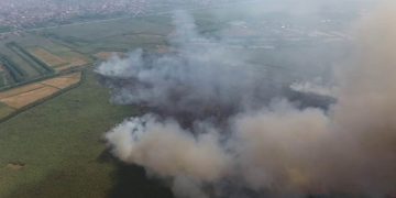 دستگاه قضایی با کسانی که نیزارها را آتش می زنند با قاطعیت برخورد می‌کند