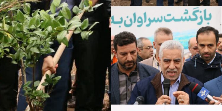 شوآف مسئولین با کاشت نهال در دفنگاه زباله سراوان/نبود طرح جامع مدیریت پسماند در گیلان