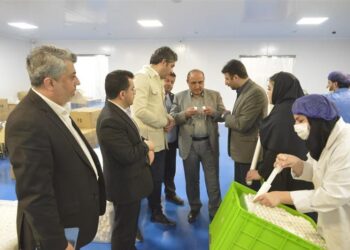 بازدید مدیرعامل منطقه آزاد انزلی از واحدهای سرمایه گذاری خارجی جدید