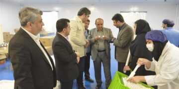 بازدید مدیرعامل منطقه آزاد انزلی از واحدهای سرمایه گذاری خارجی جدید