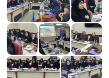 خدمات جامعه پرستاری باید در راستای توسعه مشارکت، برقراری عدالت و ارتقای نظام سلامت باشد