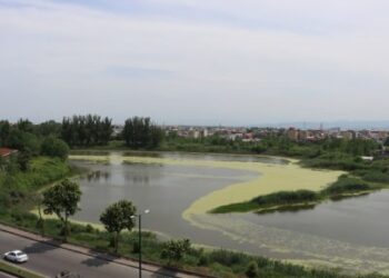 تدوین سند ساماندهی و باز زنده سازی تالاب عینک رشت