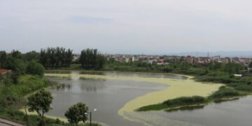 تدوین سند ساماندهی و باز زنده سازی تالاب عینک رشت