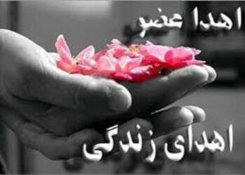 شانزدهمین اهدای عضو و پیوند سال جاری در گیلان انجام شد