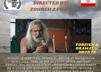 جایزه ویژه تدوین برای فیلم نومان