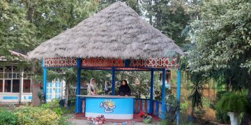 دختران و بانوان ۱۸ تا ۵۰ سال میتوانند تحت پوشش بیمه زنان خانه دار قرار گیرند