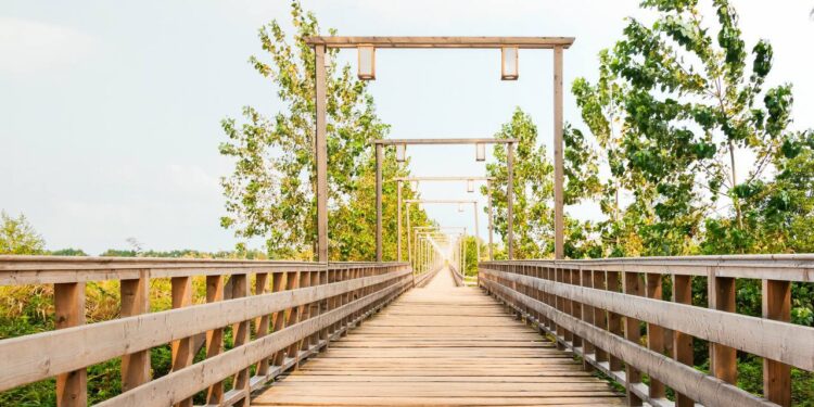 بازپیرایی پل چوبی، بهسازی پارک شهروند و بتن‌ریزی معابر، از شاخص‌ترین پروژه‌های عمرانی پاییز ۱۴۰۲