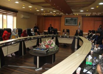 ساماندهی دستفروشان و ایجاد نظم در معابر رشت