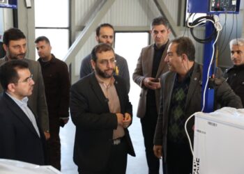 واردکننده هایی که به تولید‌کننده تبدیل شدند