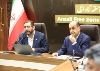 رشد چهار برابری سرمایه‌گذاری در منطقه آزاد انزلی