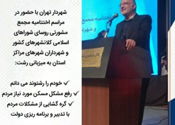 شوراها و شهرداری ها بدون حمایت دولت و مجلس نمی توانند گام بردارند