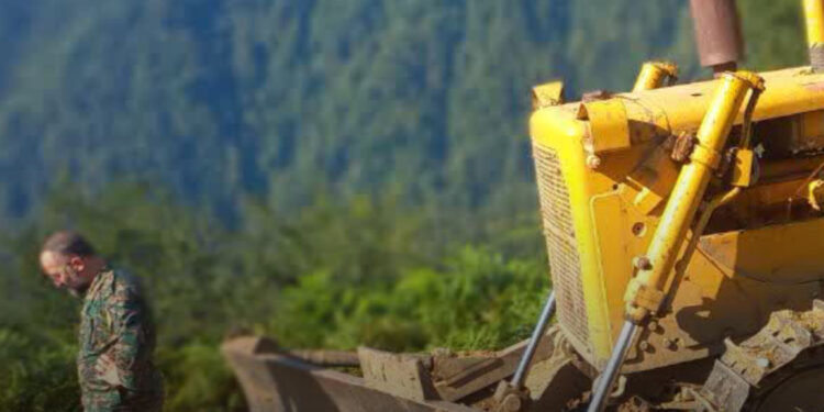 پروندهای برای جنگل یا یک شوی قضایی؟