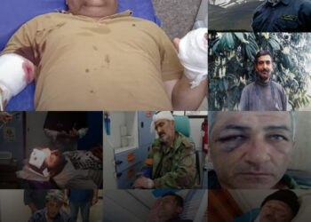 جنگلبان بیدفاع، قاچاقچی میداندار/ « سازمان منابع طبیعی، دانشگاه پرورش قاچاقچی است»