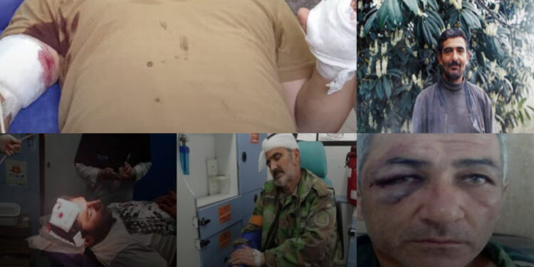 جنگلبان بیدفاع، قاچاقچی میداندار/ « سازمان منابع طبیعی، دانشگاه پرورش قاچاقچی است»
