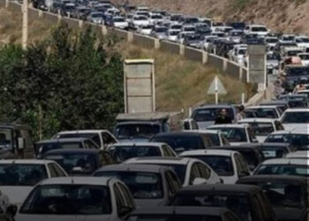 زیتون و ترافیک؛ چرا این شایعه باور شد؟