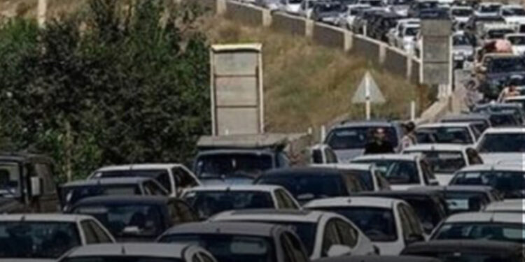 زیتون و ترافیک؛ چرا این شایعه باور شد؟