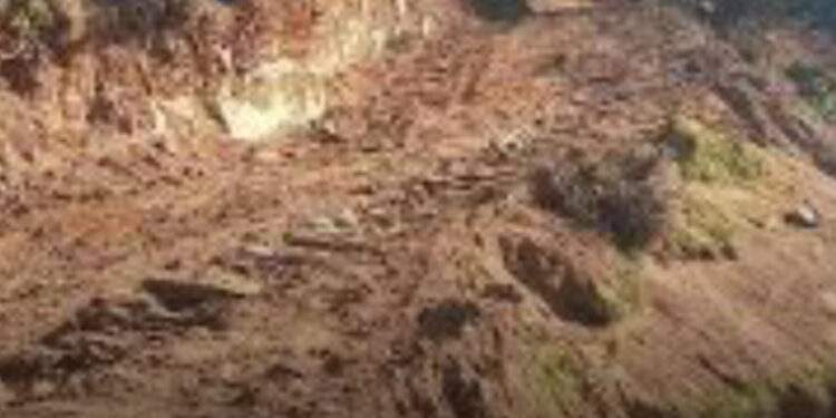 جاده سازی در دل جنگل‌های هیرکانی؛ پرسش بی‌پاسخ درباره ارزیابی زیست‌محیطی