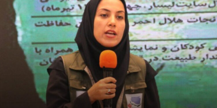 تأیید رسمی هشدارها درباره جاده‌کشی در جنگل‌های هیرکانی / بحرانی محیط‌زیستی که به ابزار سیاسی تبدیل شد