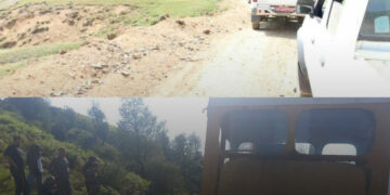 مزورانه تا استخوان؛ وقتی مدیرکل محیط زیست گیلان چشم بر تخریب سیاهمزگی بست!